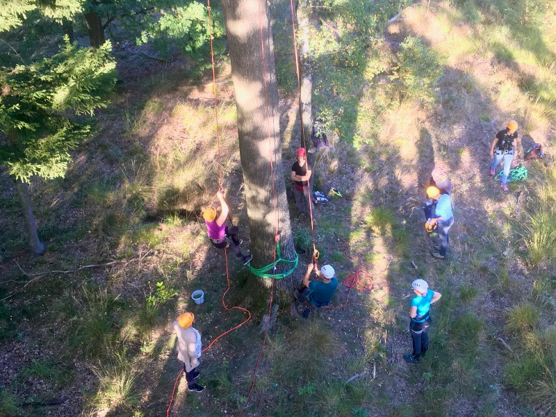In unseren regelmäßig stattfindenden Baumkletterkursen kannst auch du die Grundkenntnisse der Seilklettertechnik erlernen um z.B. als Geocacher an die T5 Caches zukommen. 