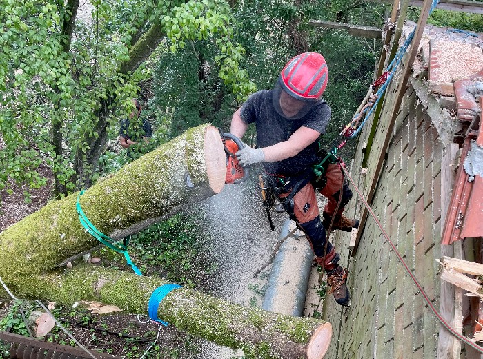 Wo mit Hubwagen, Arbeitsbühnen oder Leitern nicht mehr sicher und produktiv gearbeitet werden kann, kommt unsere spezielle Seilklettertechnik zum Einsatz.