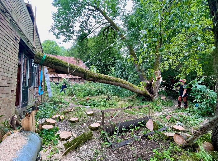 Auch wenn sehr wenig Platz oder ein hohes Risiko auf Sachbeschädigung besteht, können wir mit unserer professionellen Ausrüstung und Technik Bäume sicher schneiden und fällen. 