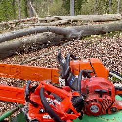 Trille zertifizierter Baumkletterer (SKT-A) AS-Baum I